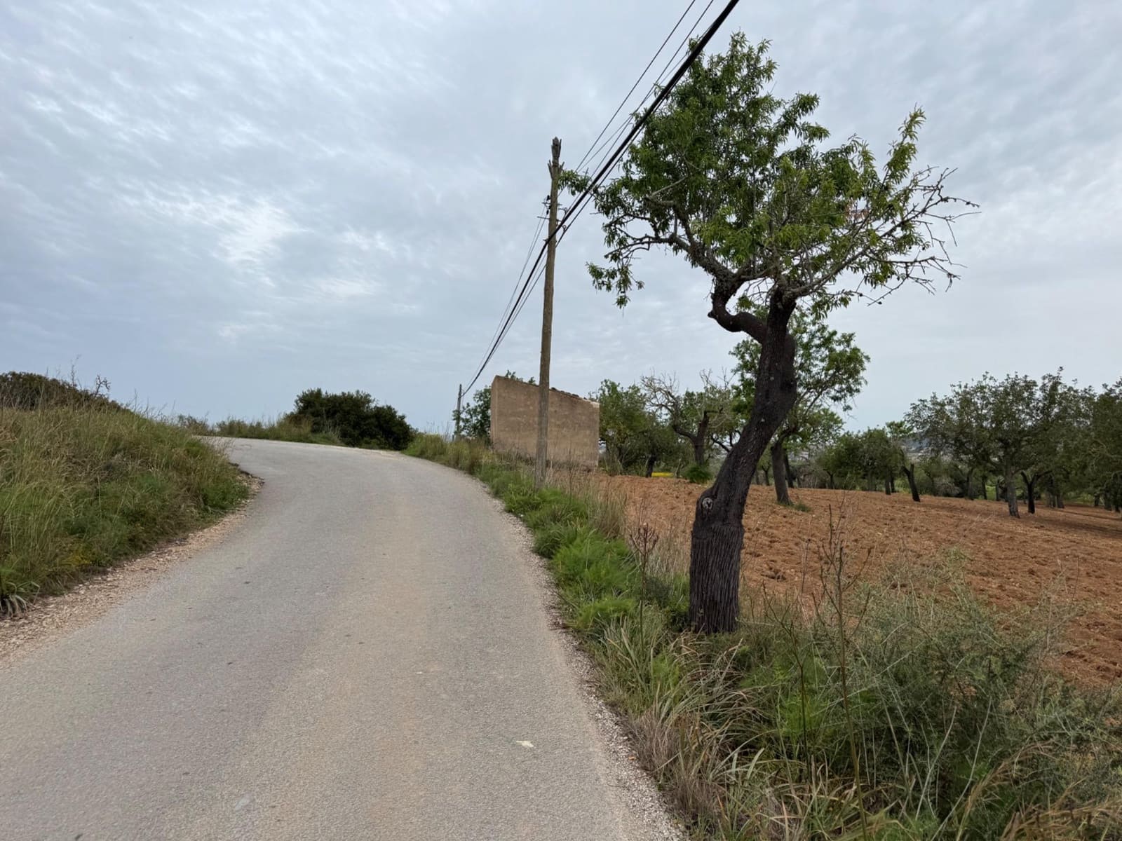 Grunde uden byggetilladelser til salg i Porreres - € 95.000 (Ref: 9060402)