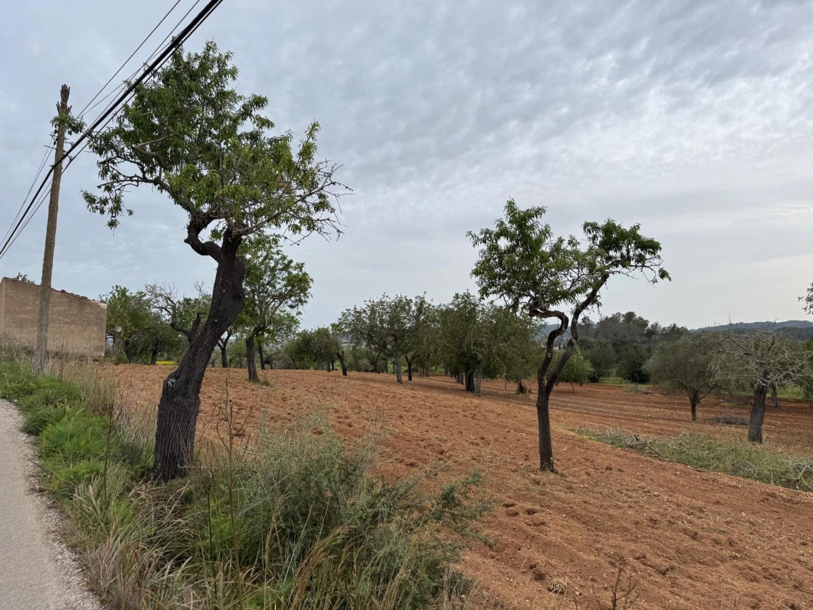 Grunde uden byggetilladelser til salg i Porreres - € 95.000 (Ref: 9060402)