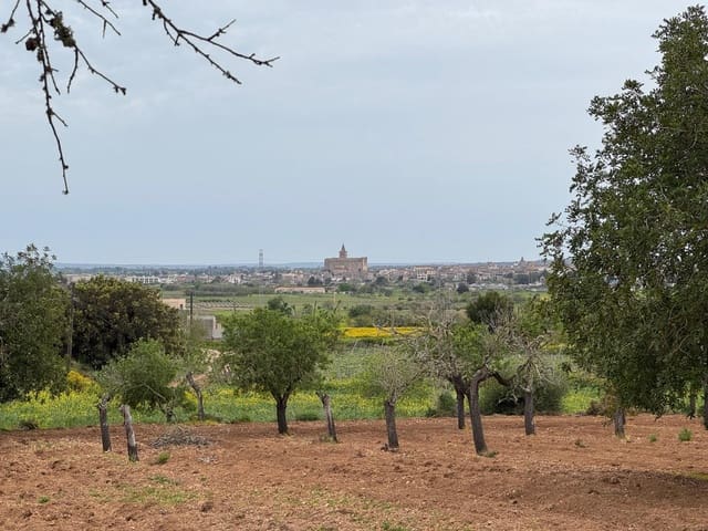 Mark till salu i Porreres - 95 000 € (Ref: 9060402)