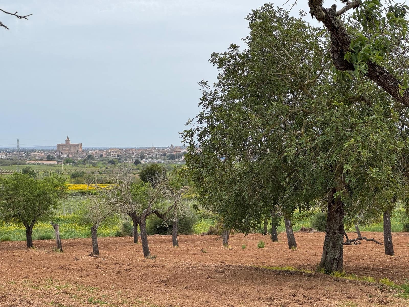 Grunde uden byggetilladelser til salg i Porreres - € 95.000 (Ref: 9060402)