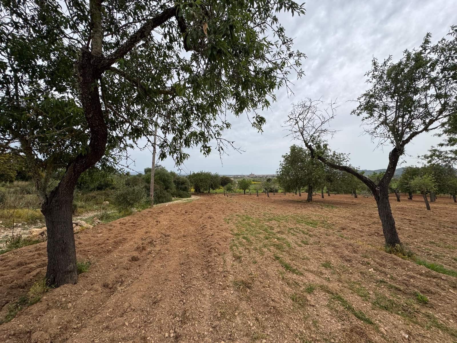 Grunde uden byggetilladelser til salg i Porreres - € 95.000 (Ref: 9060402)