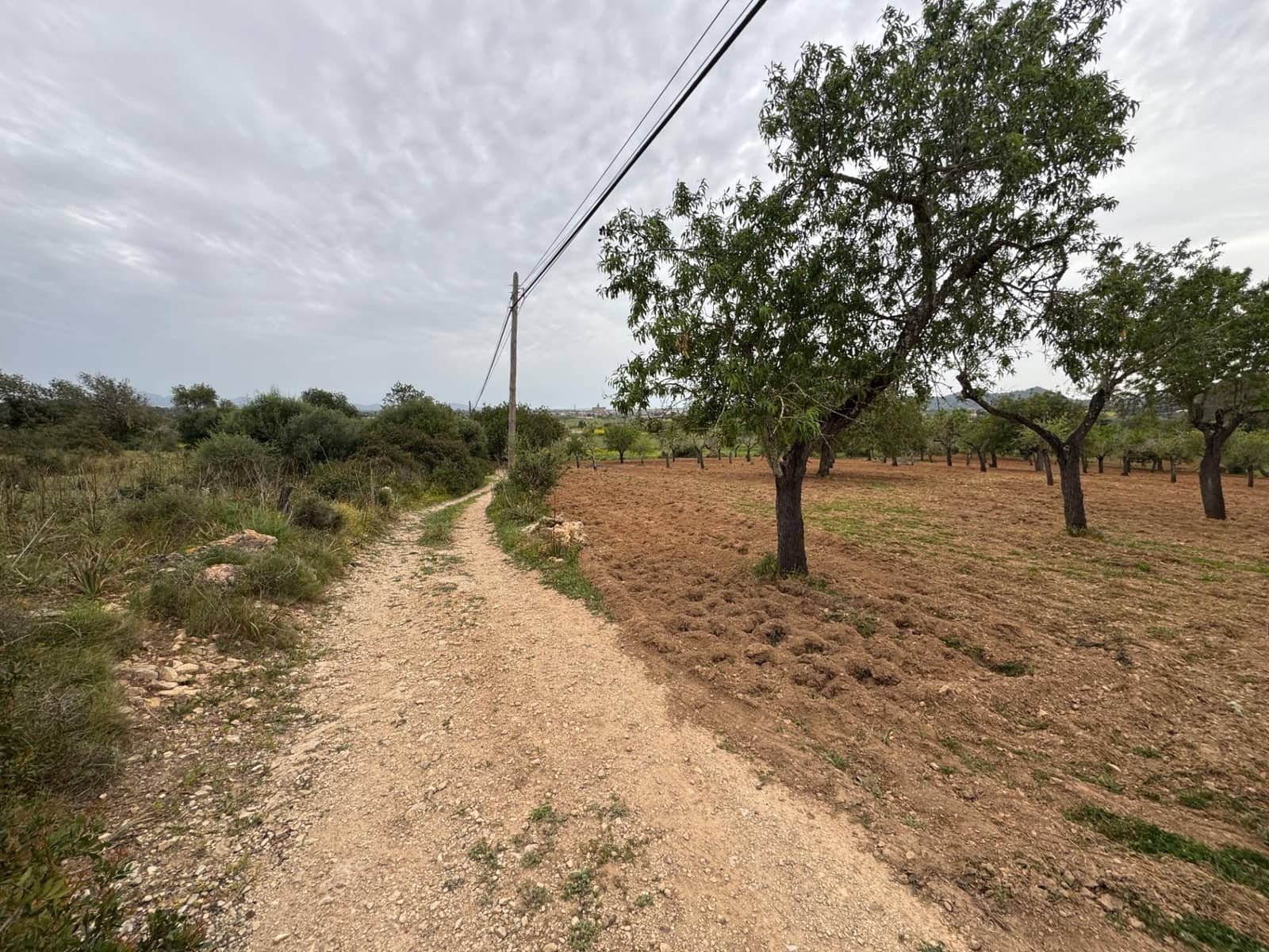 Grunde uden byggetilladelser til salg i Porreres - € 95.000 (Ref: 9060402)