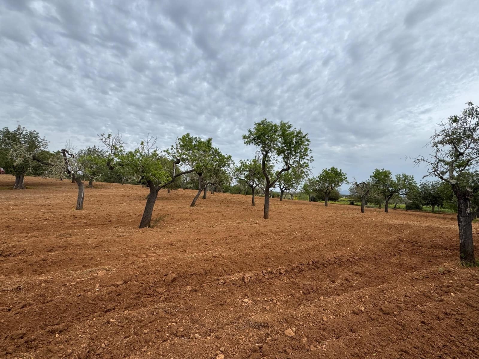 Grunde uden byggetilladelser til salg i Porreres - € 95.000 (Ref: 9060402)