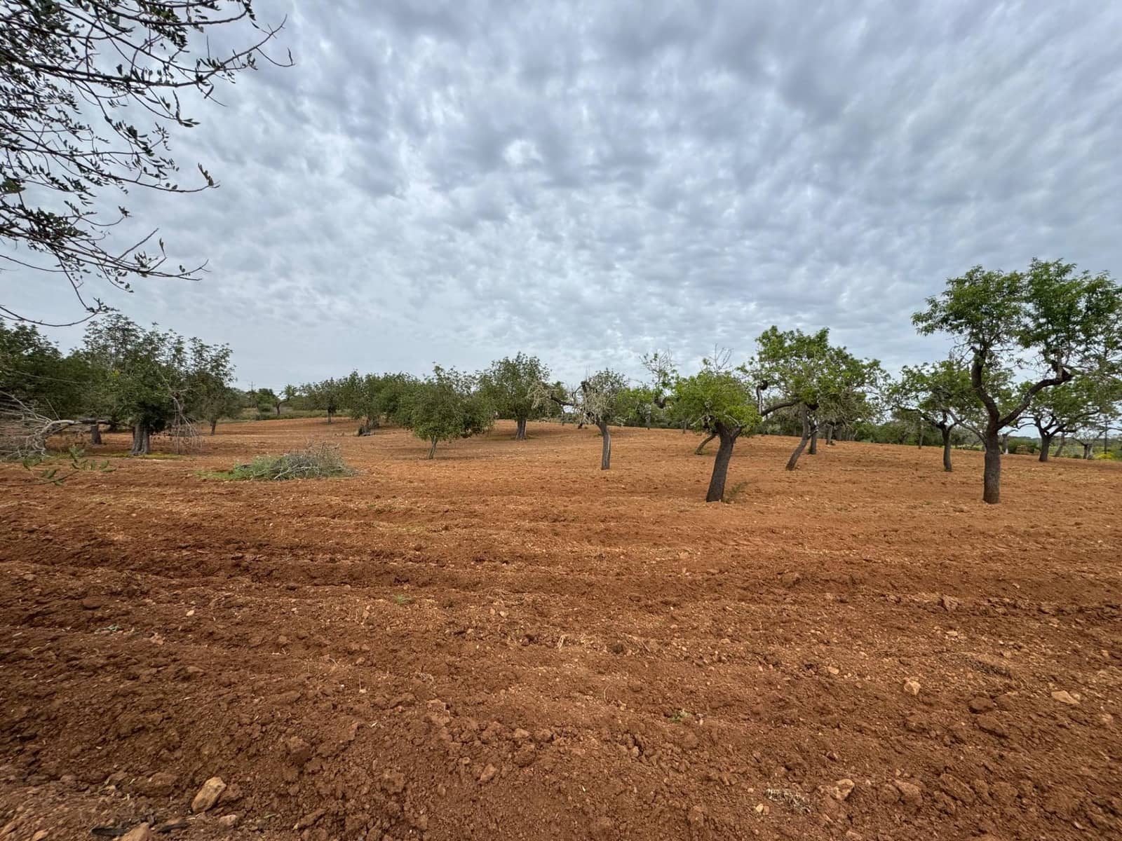 Grunde uden byggetilladelser til salg i Porreres - € 95.000 (Ref: 9060402)