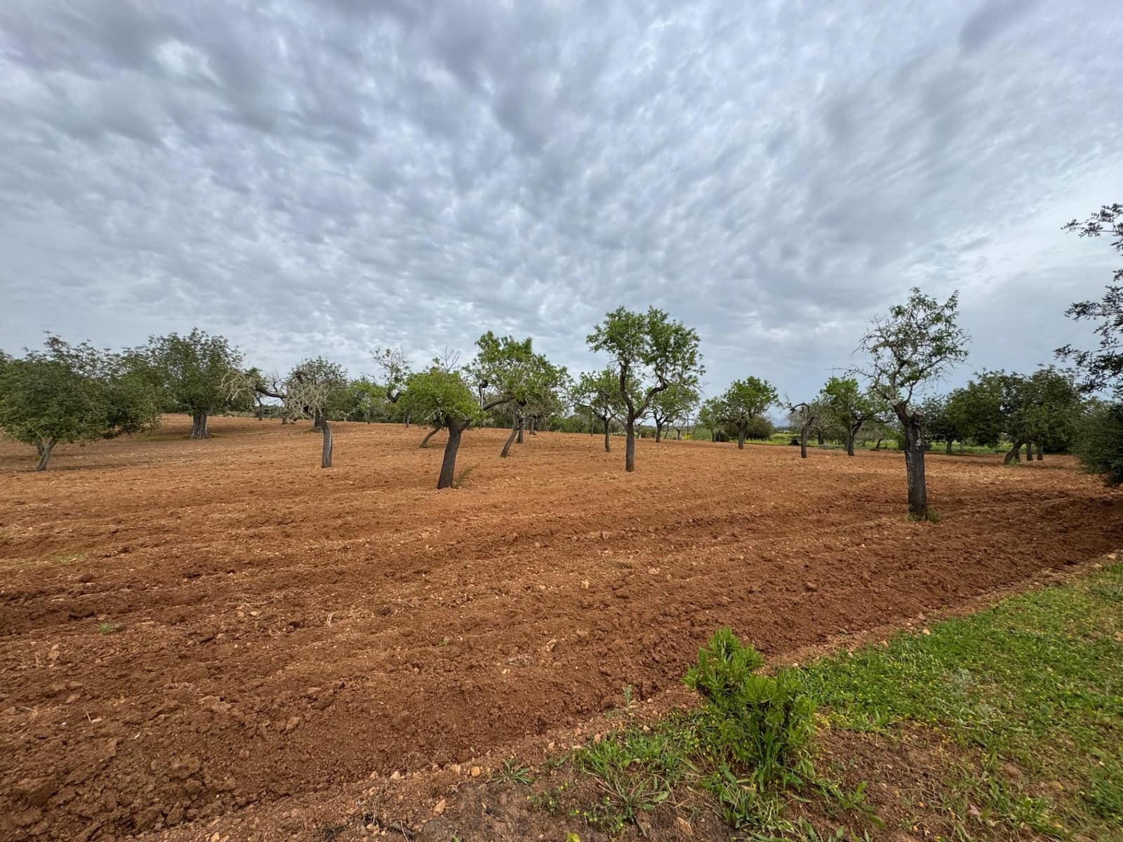 Grunde uden byggetilladelser til salg i Porreres - € 95.000 (Ref: 9060402)