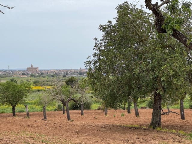 Mark till salu i Porreres - 95 000 € (Ref: 9060402)