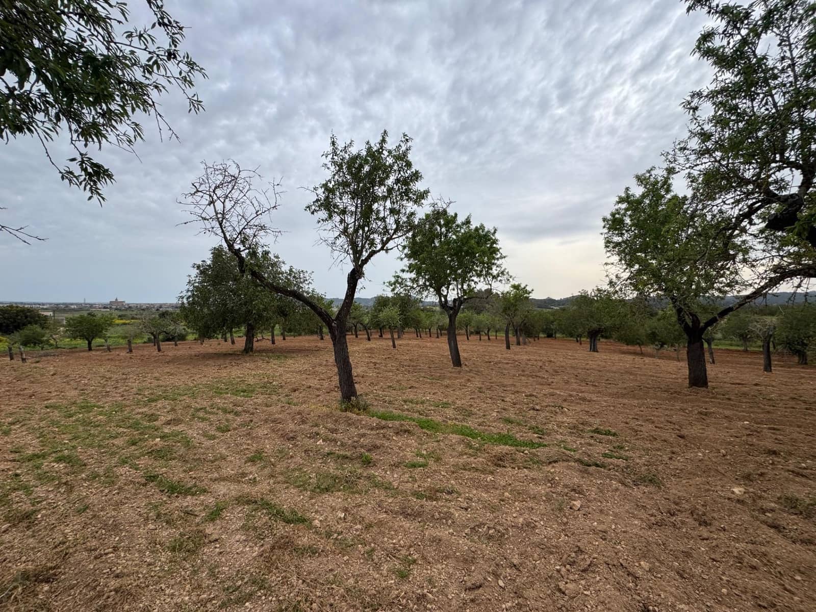 Grunde uden byggetilladelser til salg i Porreres - € 95.000 (Ref: 9060402)