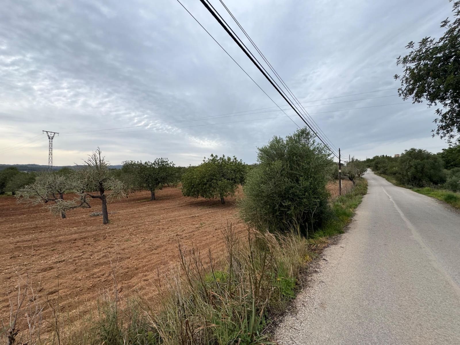 Grunde uden byggetilladelser til salg i Porreres - € 95.000 (Ref: 9060402)