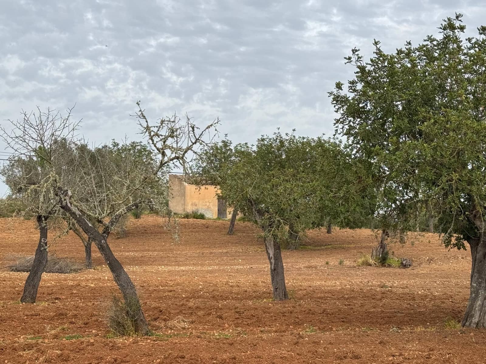 Grunde uden byggetilladelser til salg i Porreres - € 95.000 (Ref: 9060402)