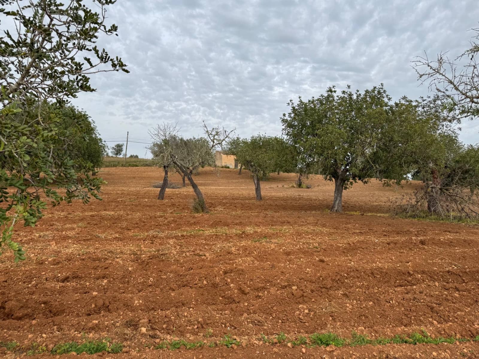 Grunde uden byggetilladelser til salg i Porreres - € 95.000 (Ref: 9060402)