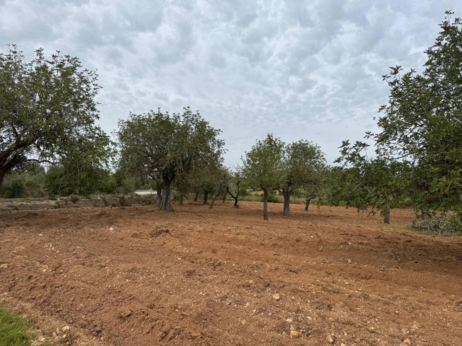 Grunde uden byggetilladelser til salg i Porreres - € 95.000 (Ref: 9060402)