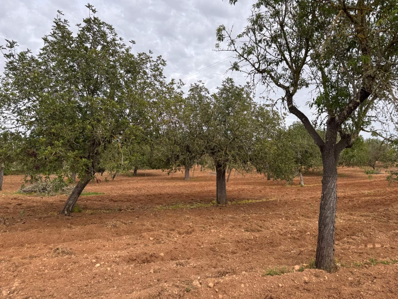 Grunde uden byggetilladelser til salg i Porreres - € 95.000 (Ref: 9060402)