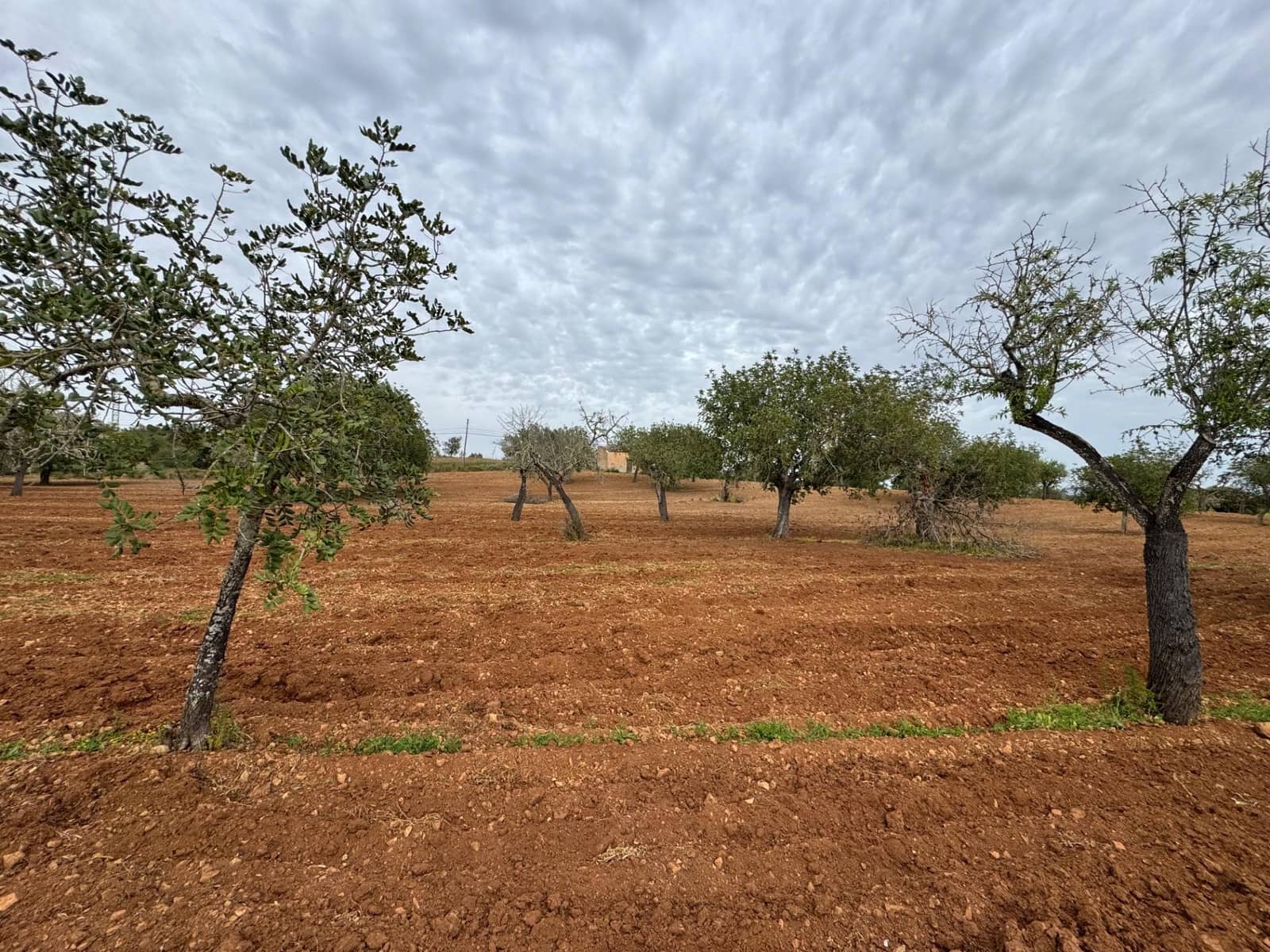 Grunde uden byggetilladelser til salg i Porreres - € 95.000 (Ref: 9060402)