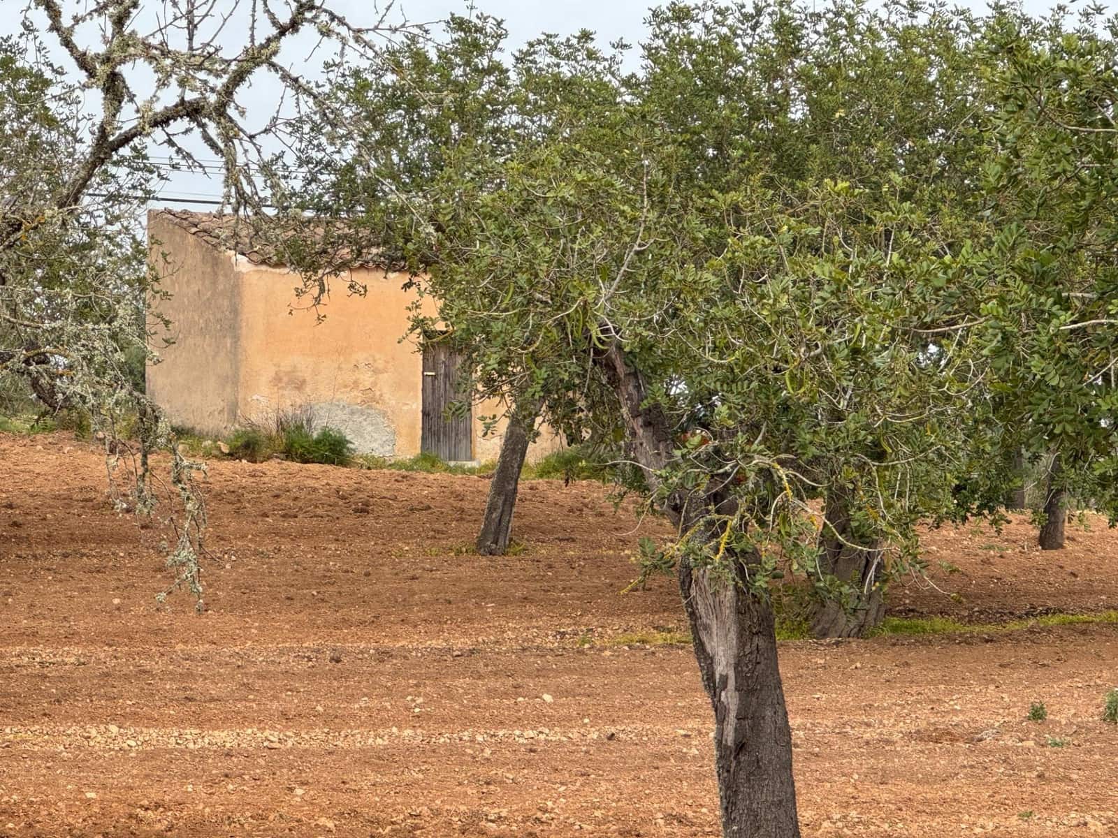 Grunde uden byggetilladelser til salg i Porreres - € 95.000 (Ref: 9060402)