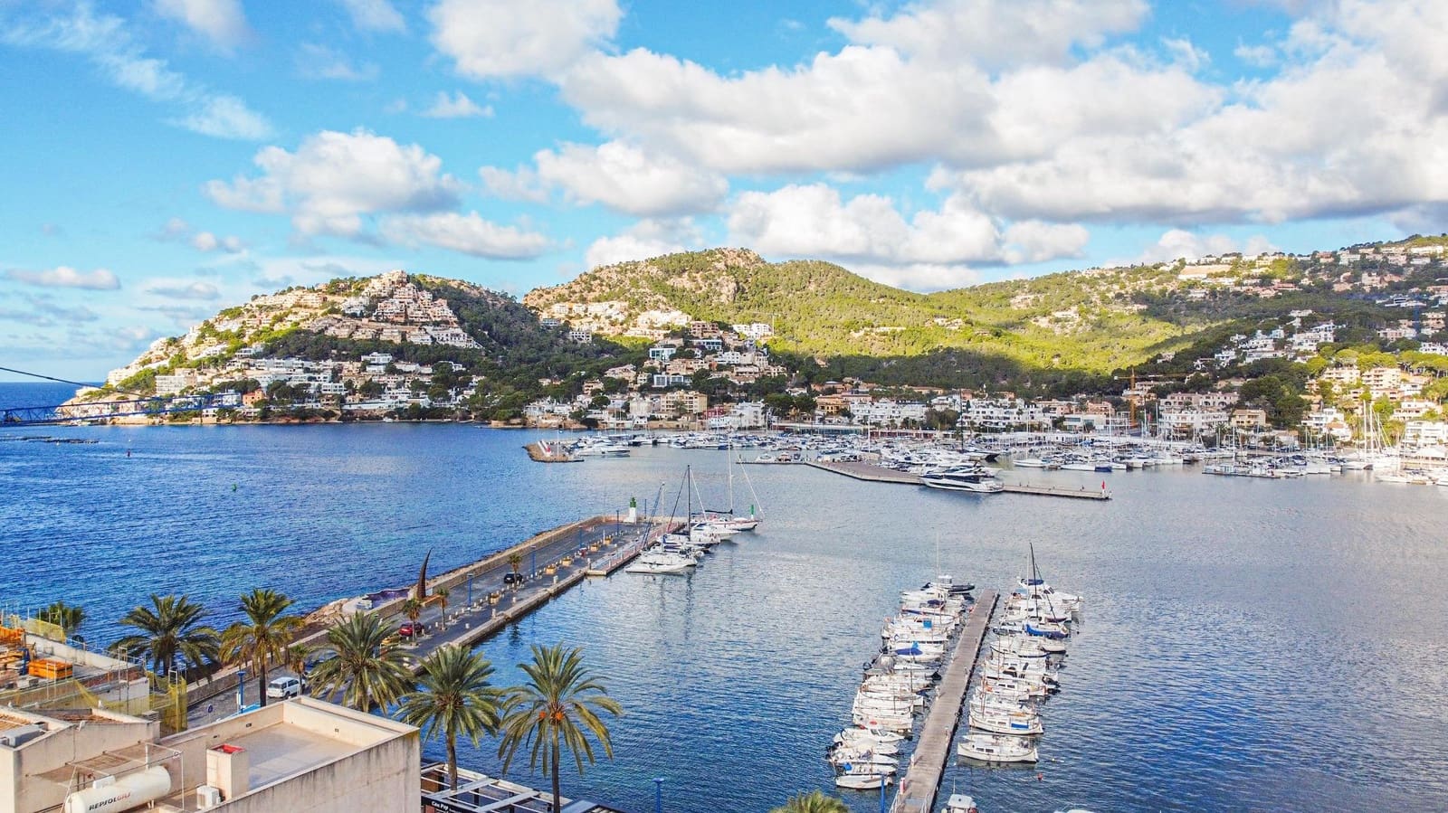 Gewerbe zu vermieten in Puerto de Andratx - 2.000 € (Ref: 9462527)