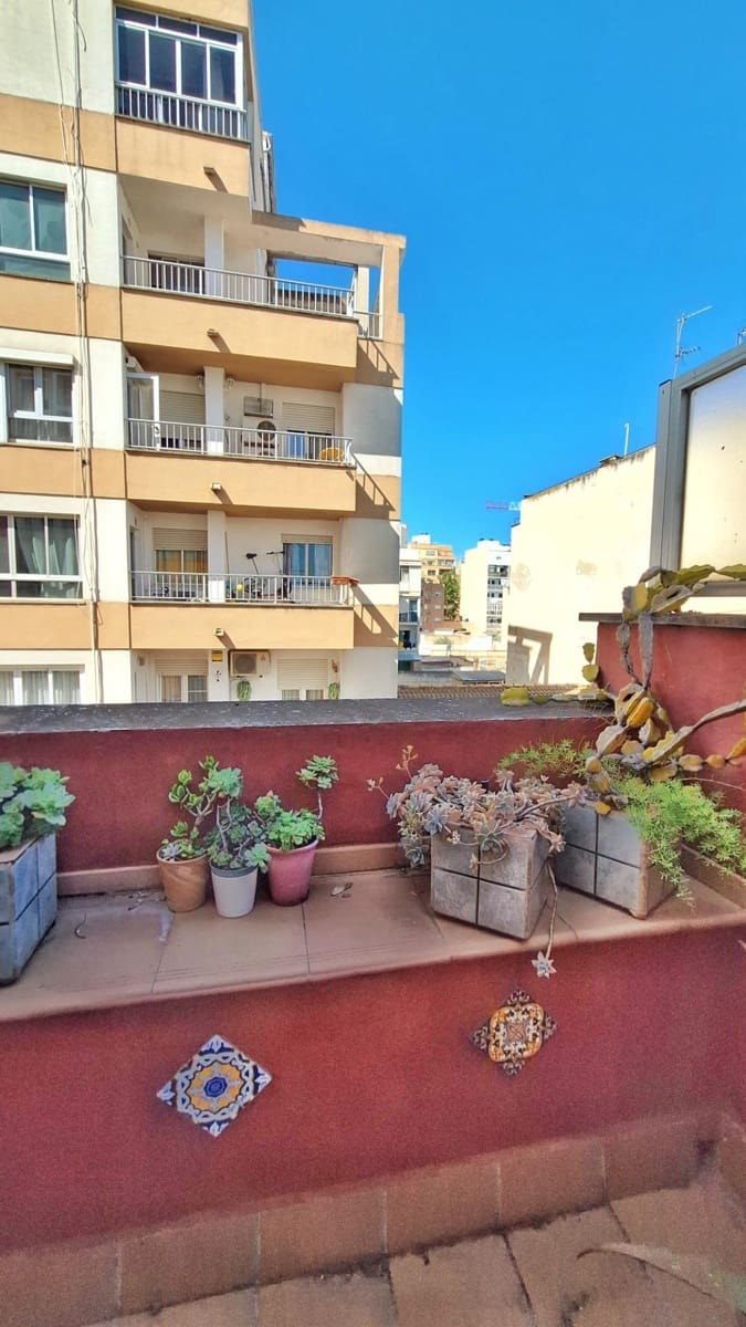 1 bedroom Flat for sale in Palma de Mallorca - € 297,000 (Ref: 9813864)