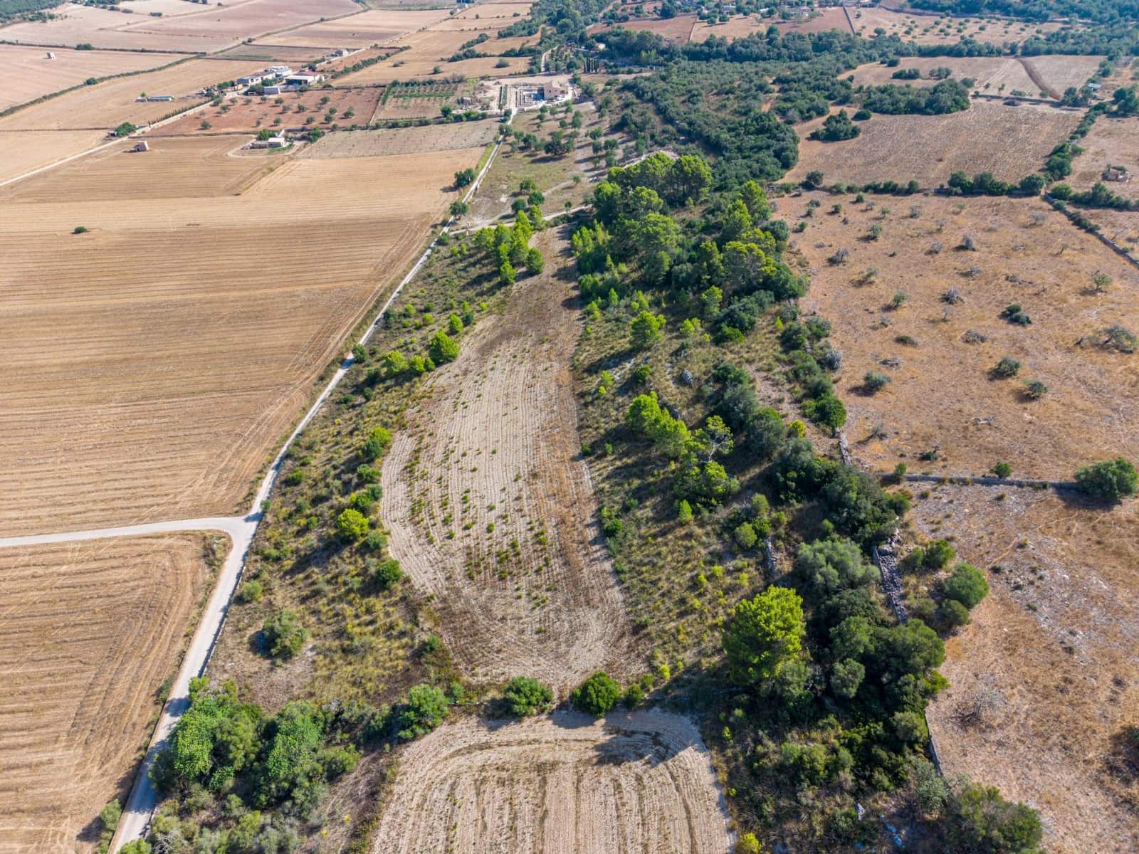 Terrain à Bâtir à vendre à Petra - 259 000 € (Ref: 10022587)