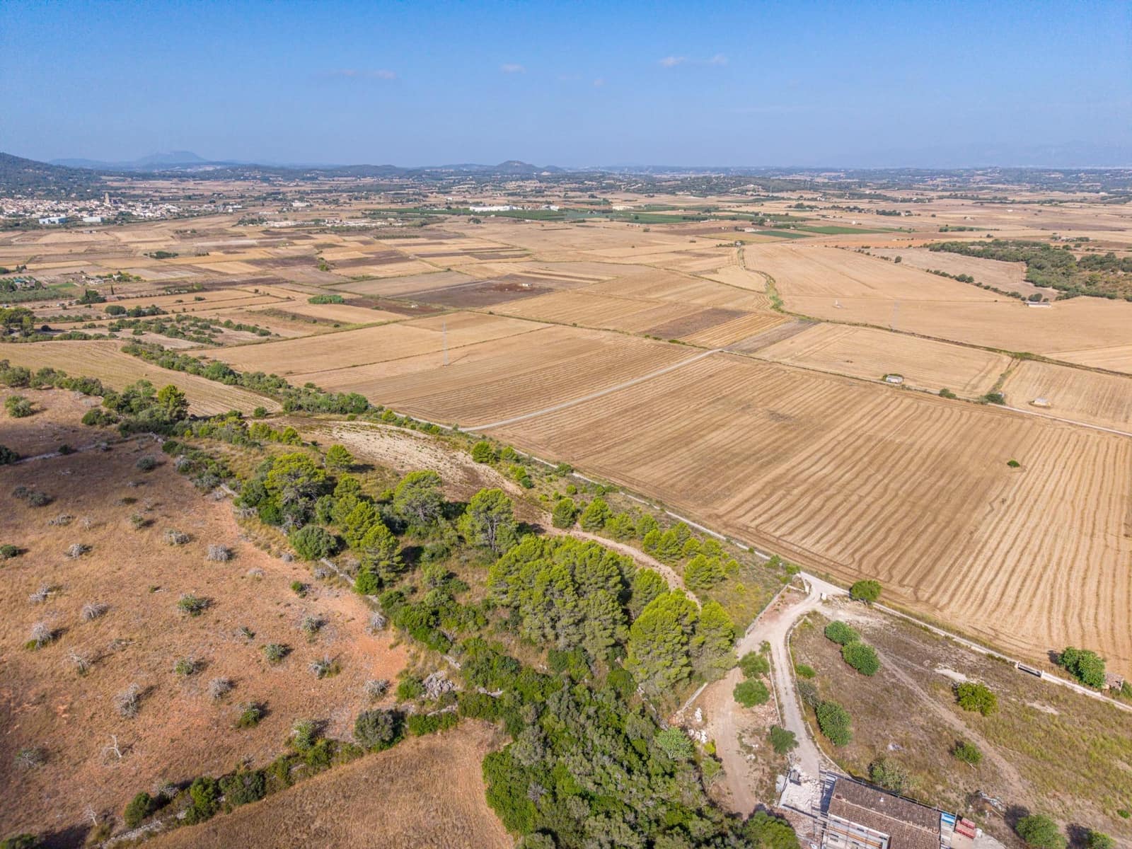 Terrain à Bâtir à vendre à Petra - 259 000 € (Ref: 10022587)