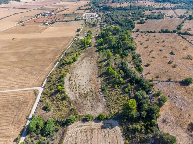 Terrain à Bâtir à vendre à Petra - 259 000 € (Ref: 10022587)