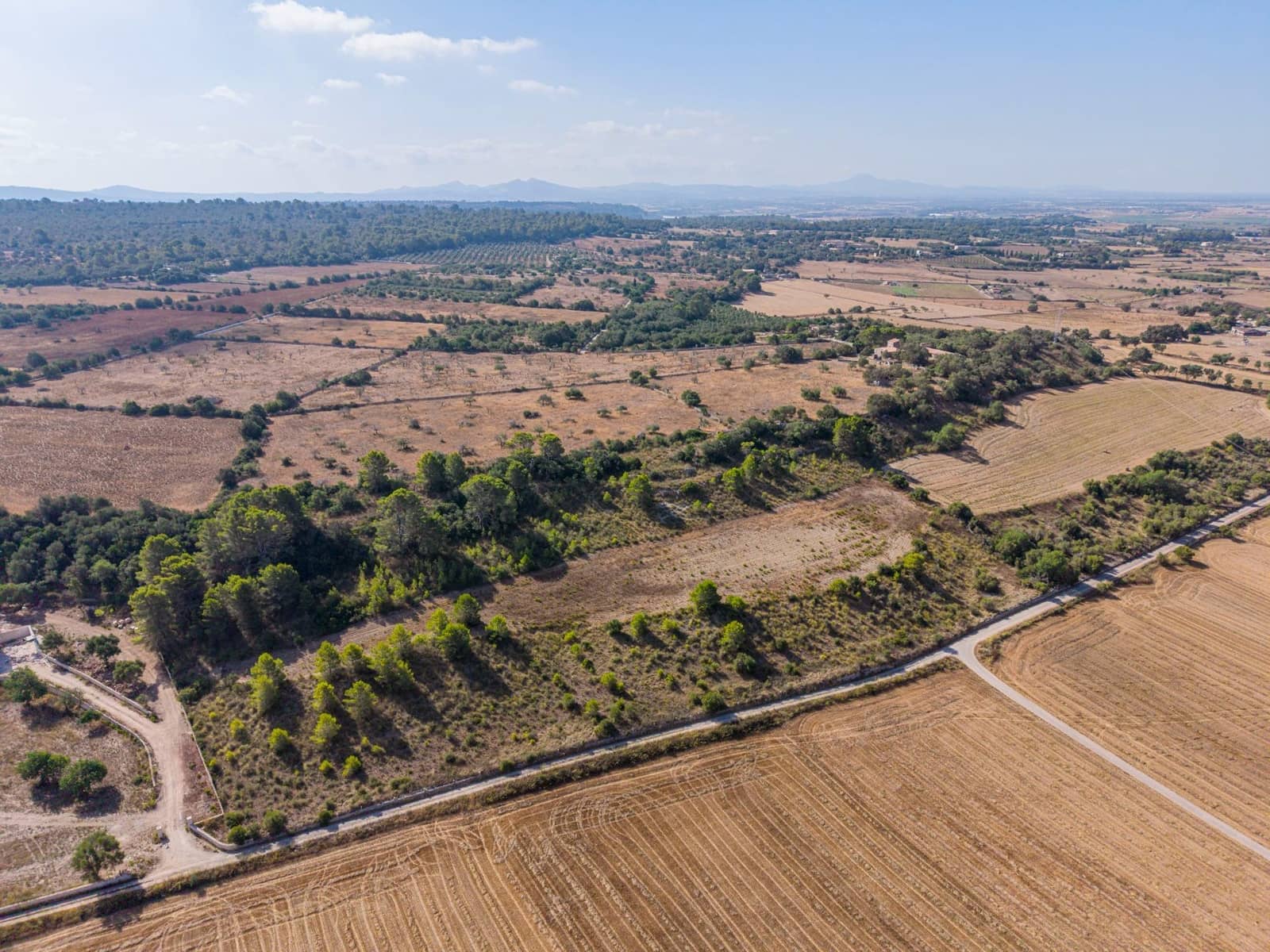 Terrain à Bâtir à vendre à Petra - 259 000 € (Ref: 10022587)