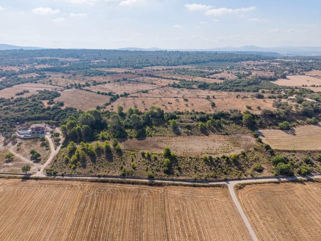 Terrain à Bâtir à vendre à Petra - 259 000 € (Ref: 10022587)