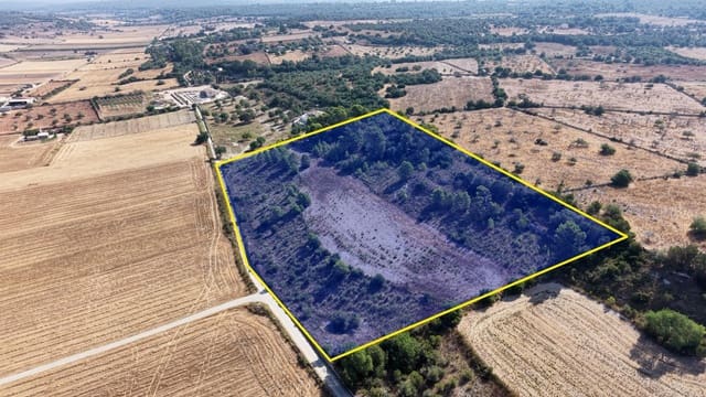 Terrain à Bâtir à vendre à Petra - 259 000 € (Ref: 10022587)