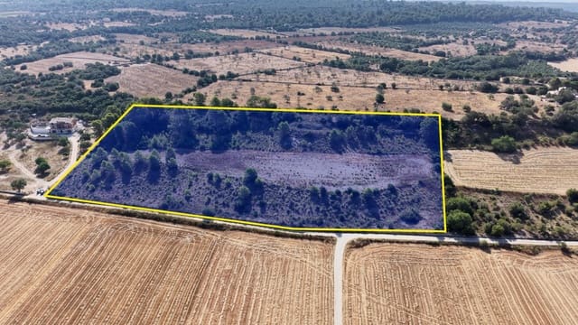 Terrain à Bâtir à vendre à Petra - 259 000 € (Ref: 10022587)