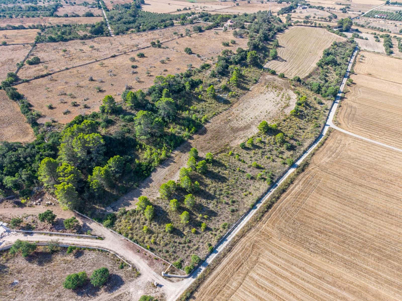 Terrain à Bâtir à vendre à Petra - 259 000 € (Ref: 10022587)