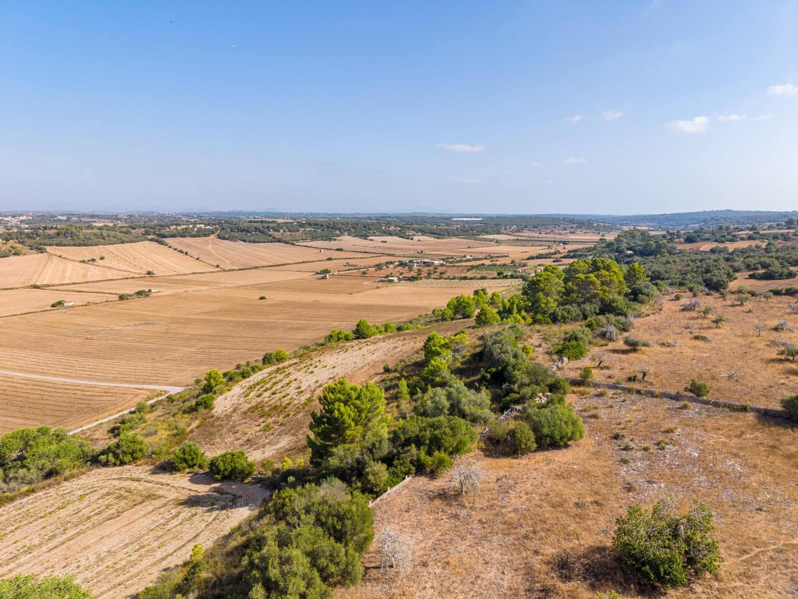 Terrain à Bâtir à vendre à Petra - 259 000 € (Ref: 10022587)