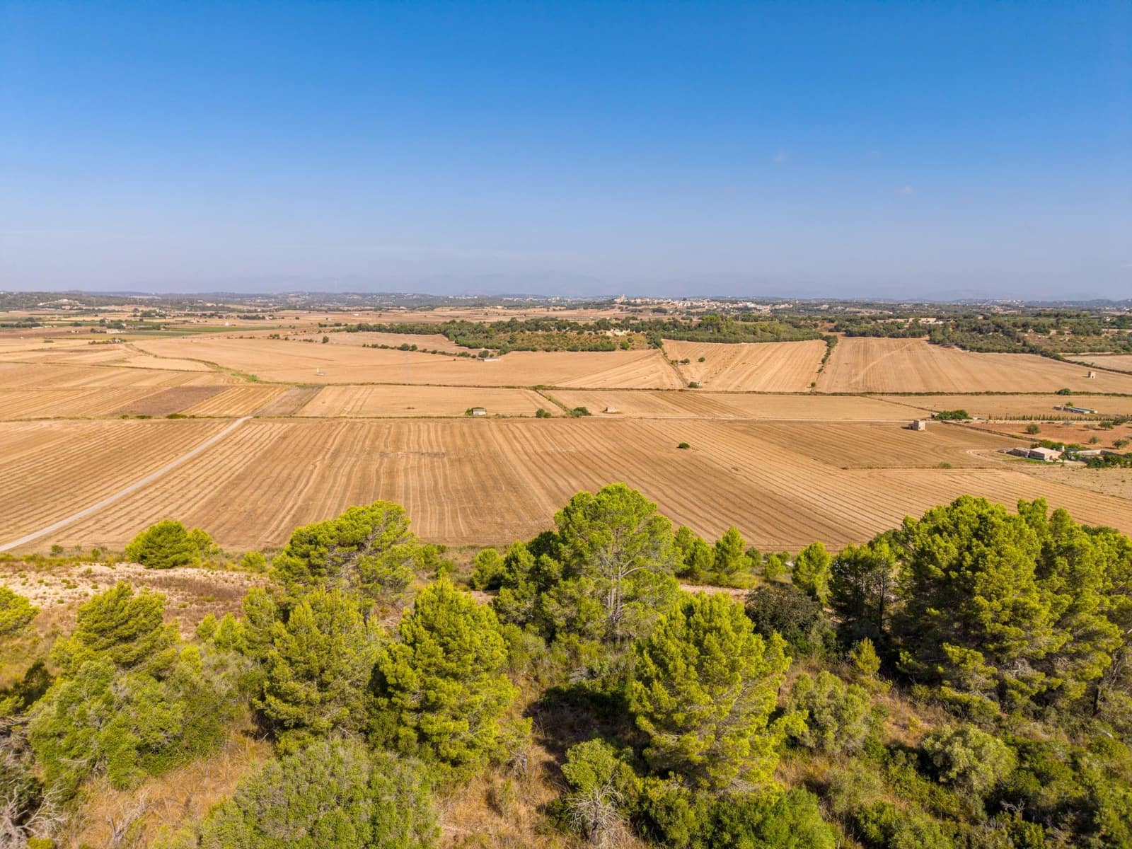 Terrain à Bâtir à vendre à Petra - 259 000 € (Ref: 10022587)