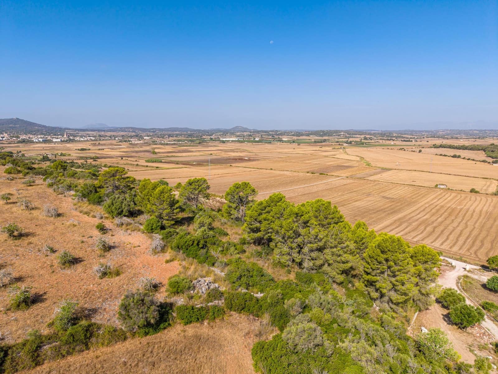 Terrain à Bâtir à vendre à Petra - 259 000 € (Ref: 10022587)