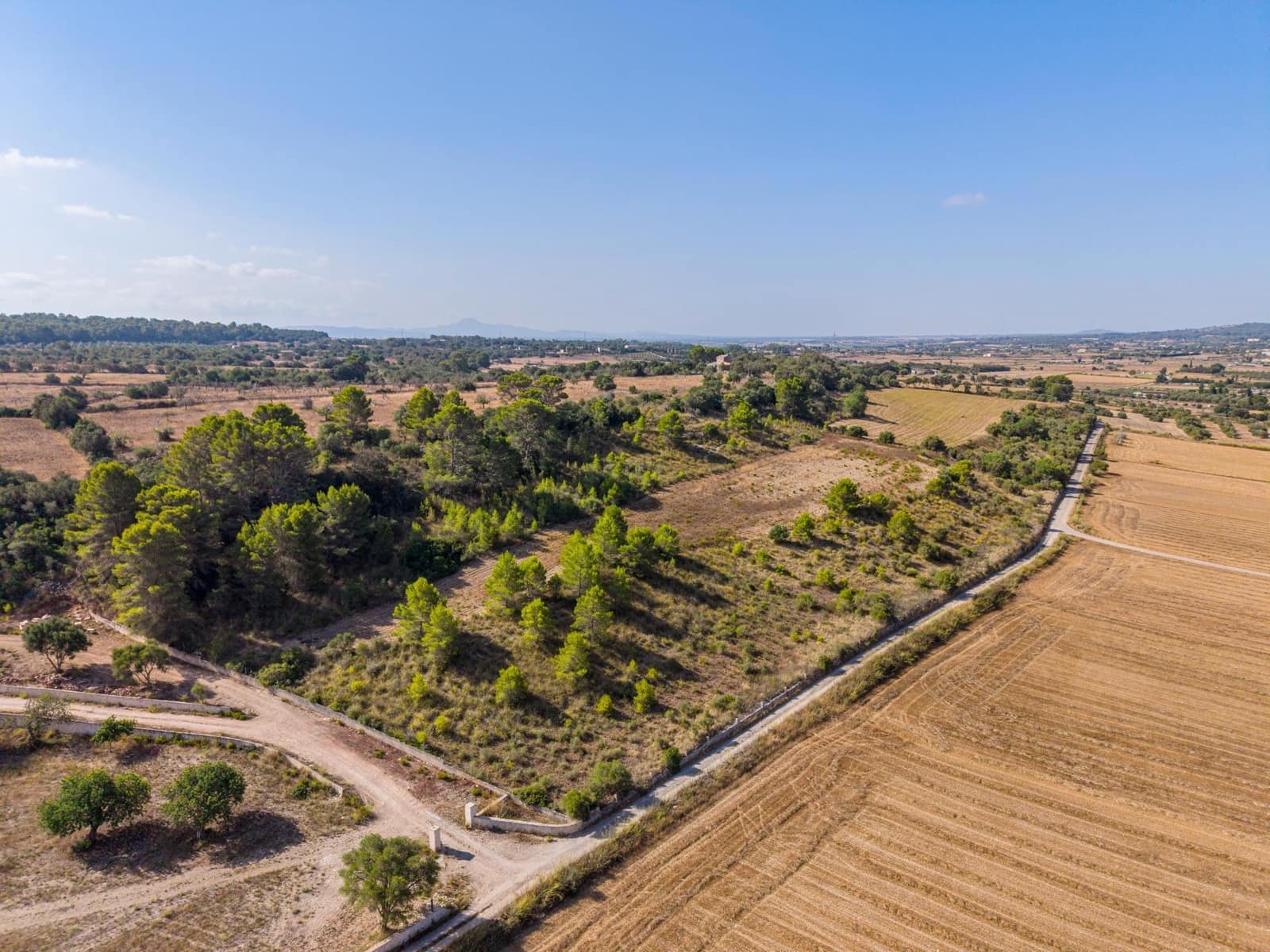 Terrain à Bâtir à vendre à Petra - 259 000 € (Ref: 10022587)