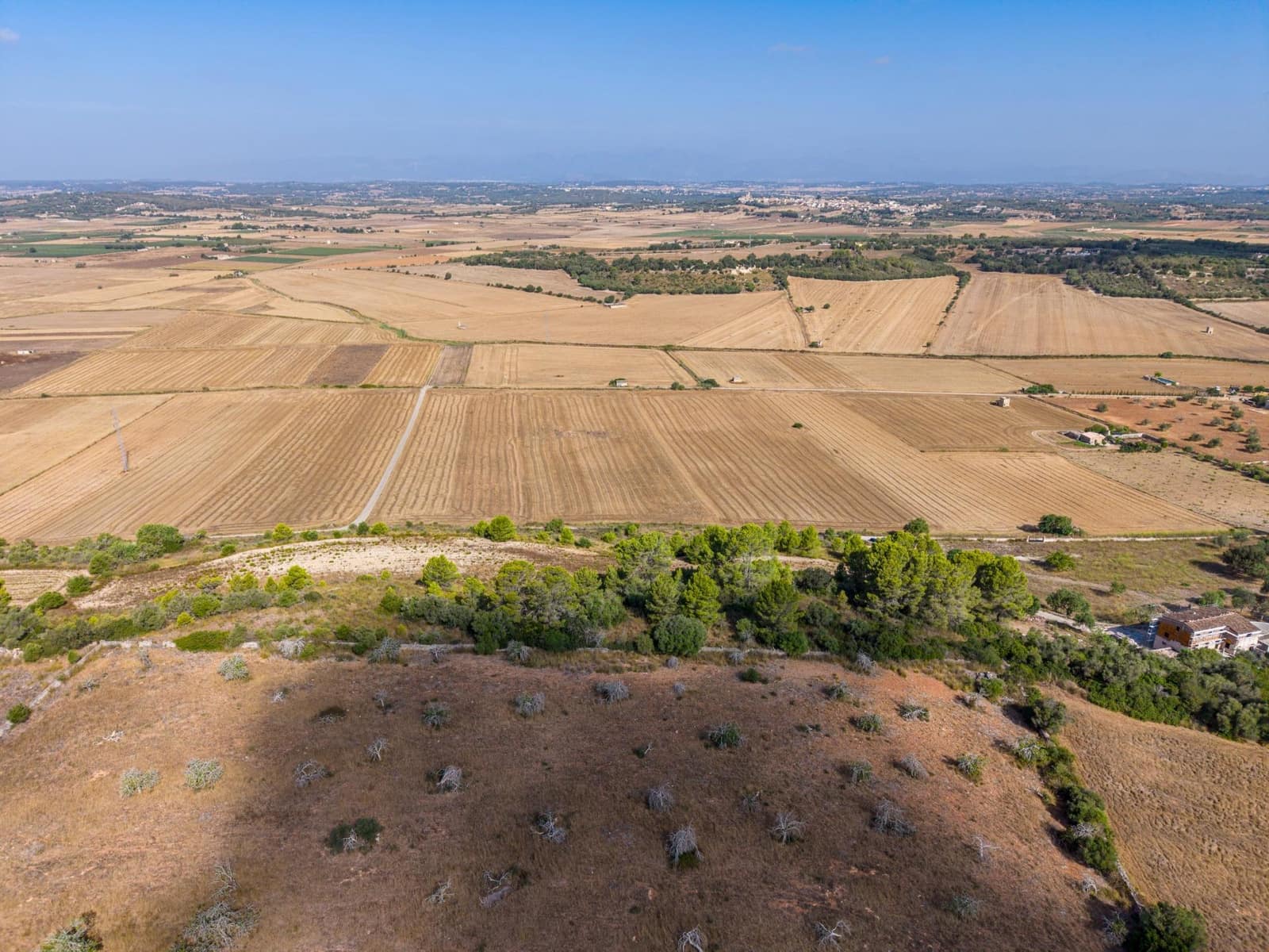 Terrain à Bâtir à vendre à Petra - 259 000 € (Ref: 10022587)