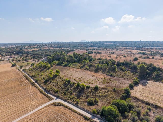Terrain à Bâtir à vendre à Petra - 259 000 € (Ref: 10022587)