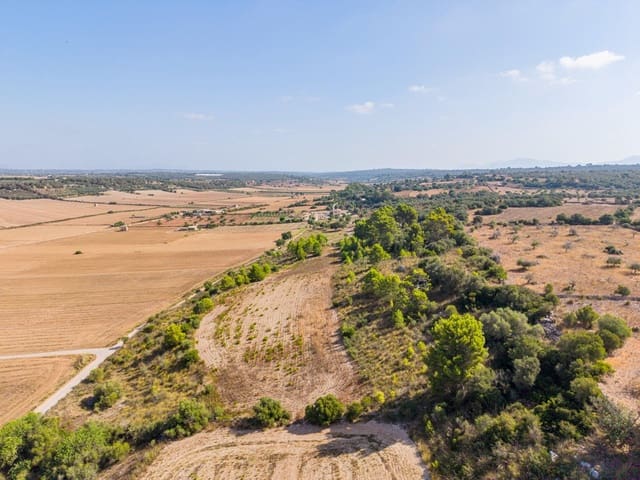 Terrain à Bâtir à vendre à Petra - 259 000 € (Ref: 10022587)