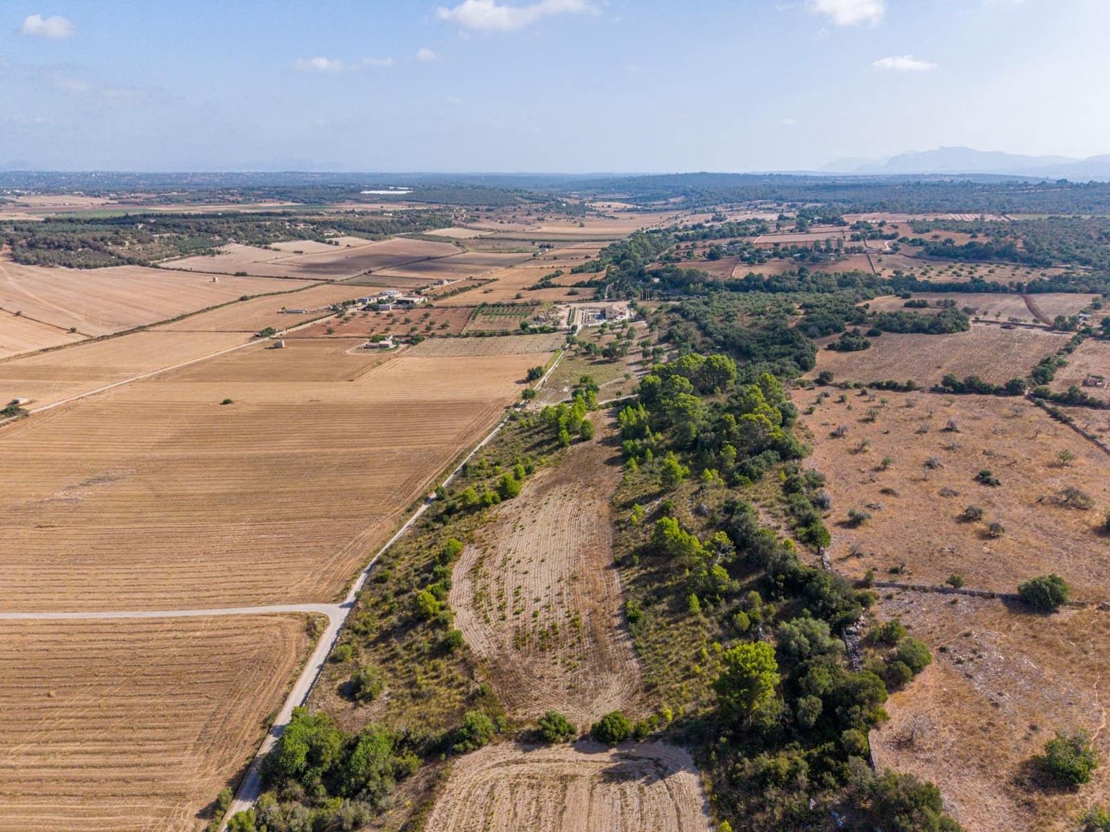 Terrain à Bâtir à vendre à Petra - 259 000 € (Ref: 10022587)