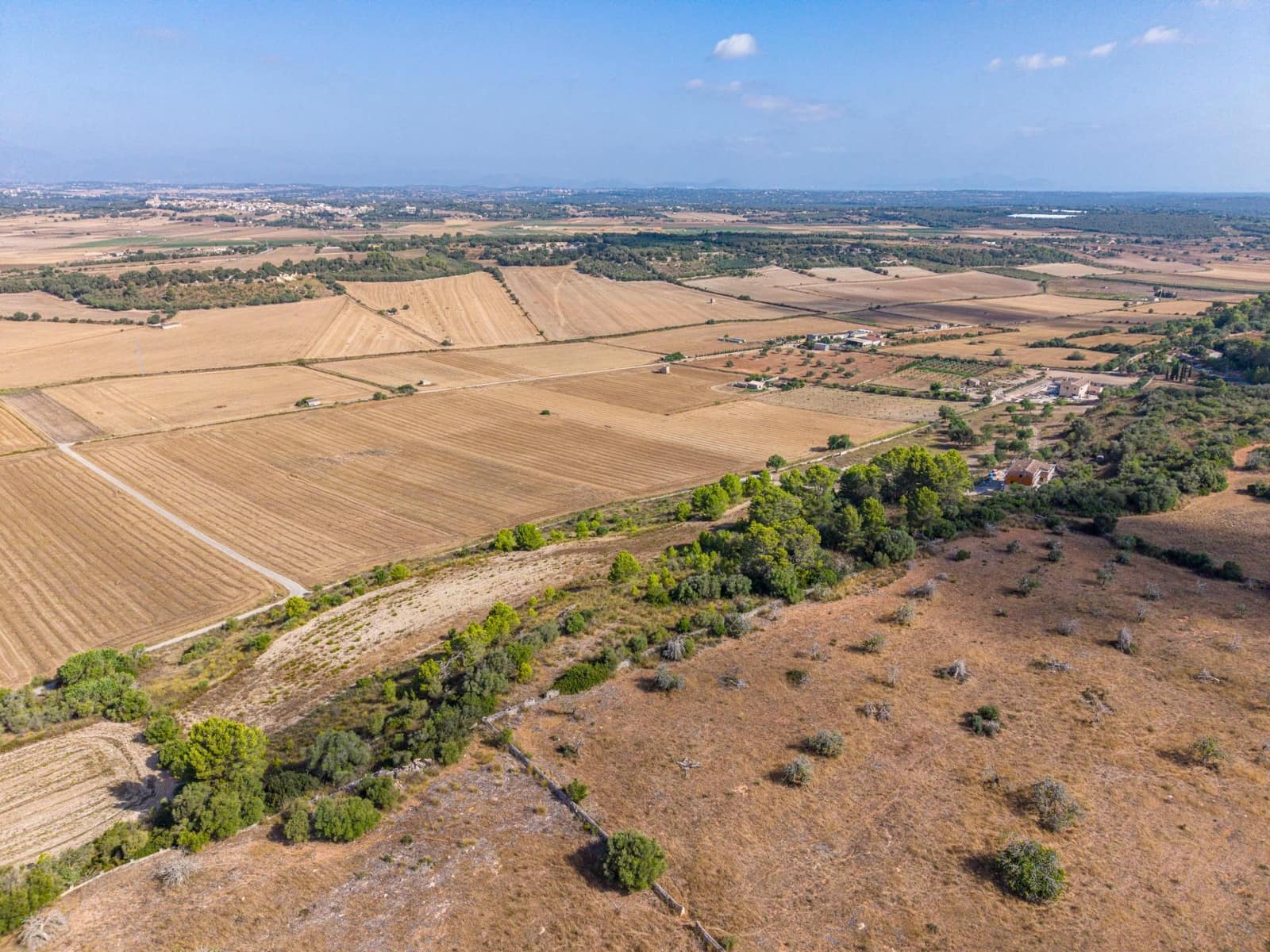 Terrain à Bâtir à vendre à Petra - 259 000 € (Ref: 10022587)