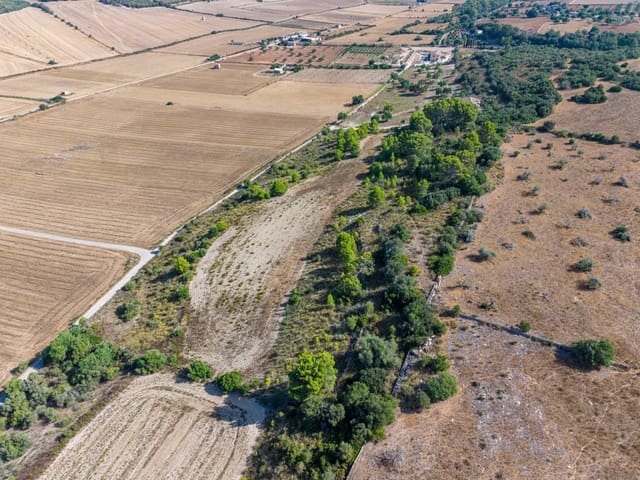Terrain à Bâtir à vendre à Petra - 259 000 € (Ref: 10022587)