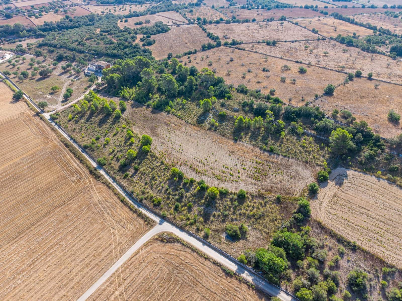 Terrain à Bâtir à vendre à Petra - 259 000 € (Ref: 10022587)