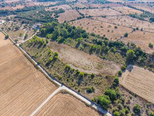 Terrain à Bâtir à vendre à Petra - 259 000 € (Ref: 10022587)