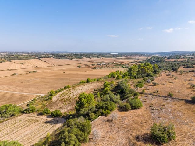 Bauplatz zu verkaufen in Petra - 259.000 € (Ref: 10022587)