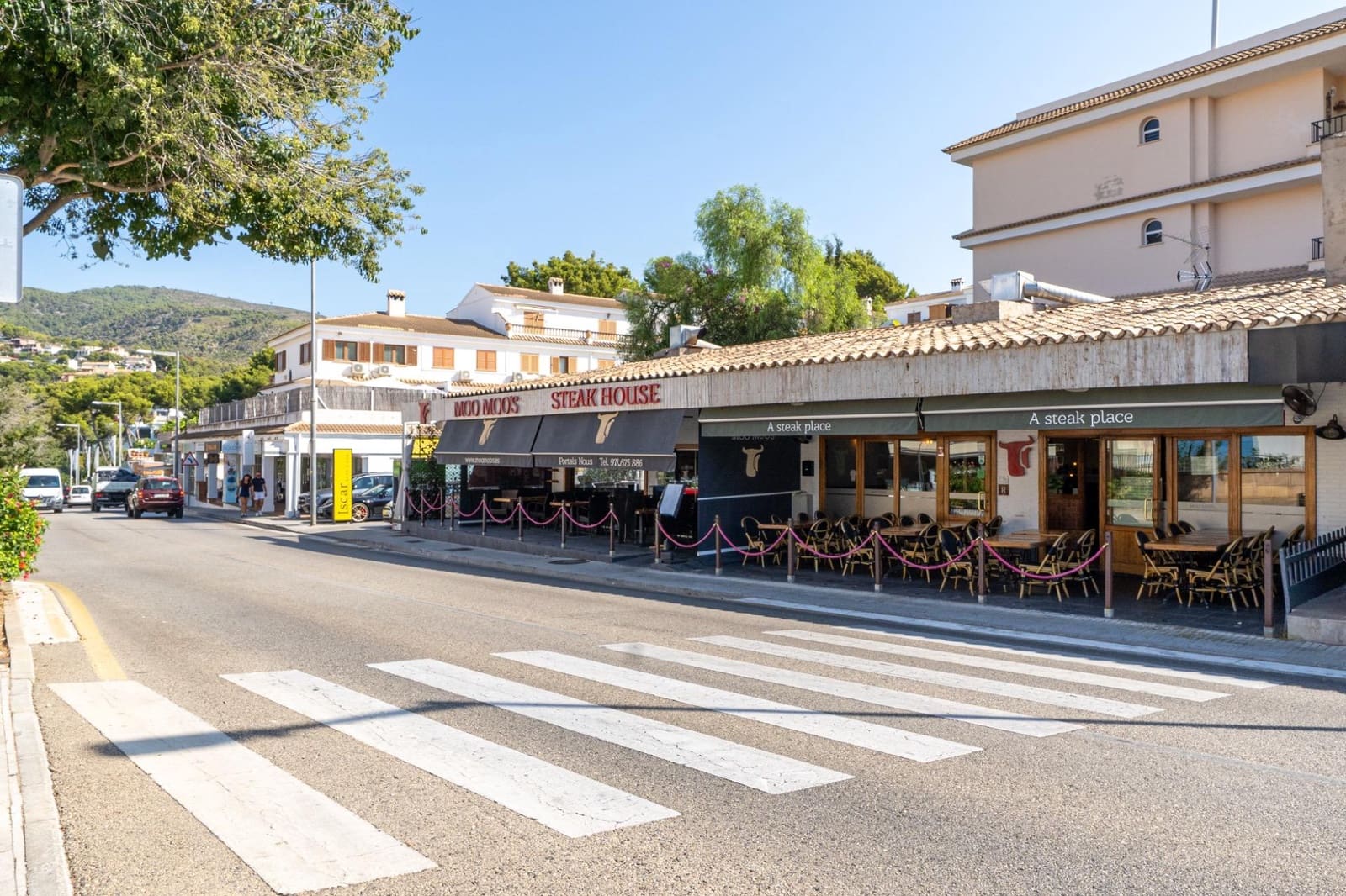 Yritys vuokrattavana paikassa Calvia - 2 346 € (Ref: 10049516)