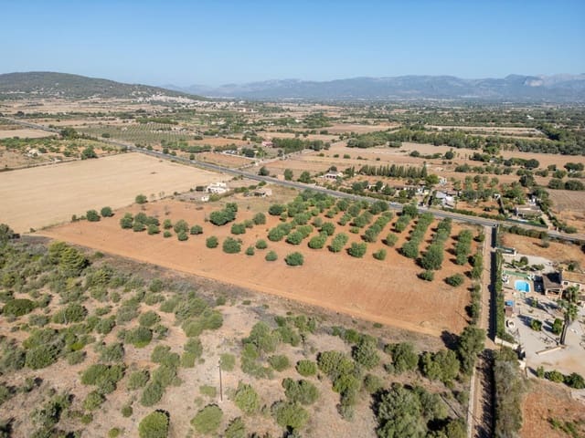 Terrain à Bâtir à vendre à Sencelles - 295 000 € (Ref: 10094874)