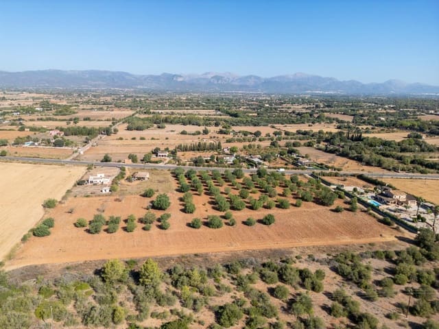 Terrain à Bâtir à vendre à Sencelles - 295 000 € (Ref: 10094874)