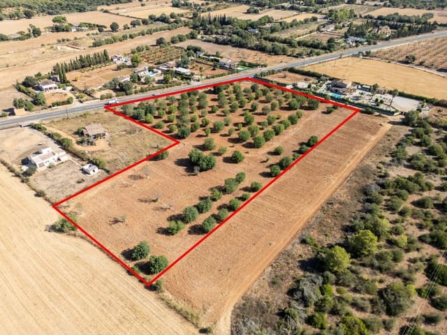 Terrain à Bâtir à vendre à Sencelles - 295 000 € (Ref: 10094874)