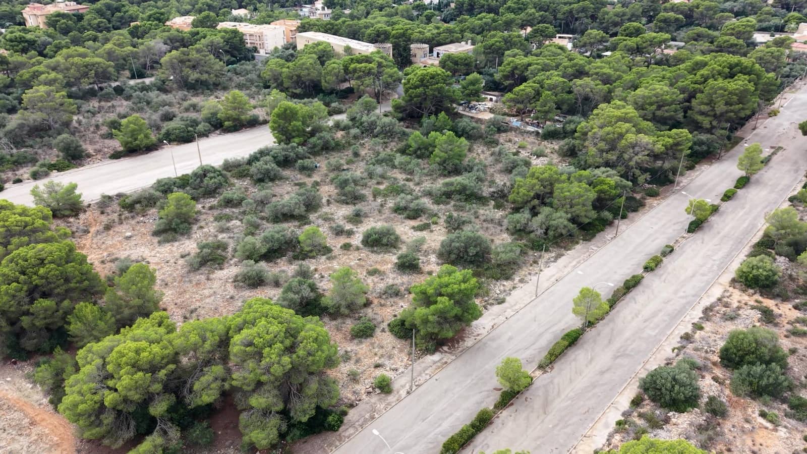 Bauplatz zu verkaufen in Llucmajor - 59.900 € (Ref: 10159600)