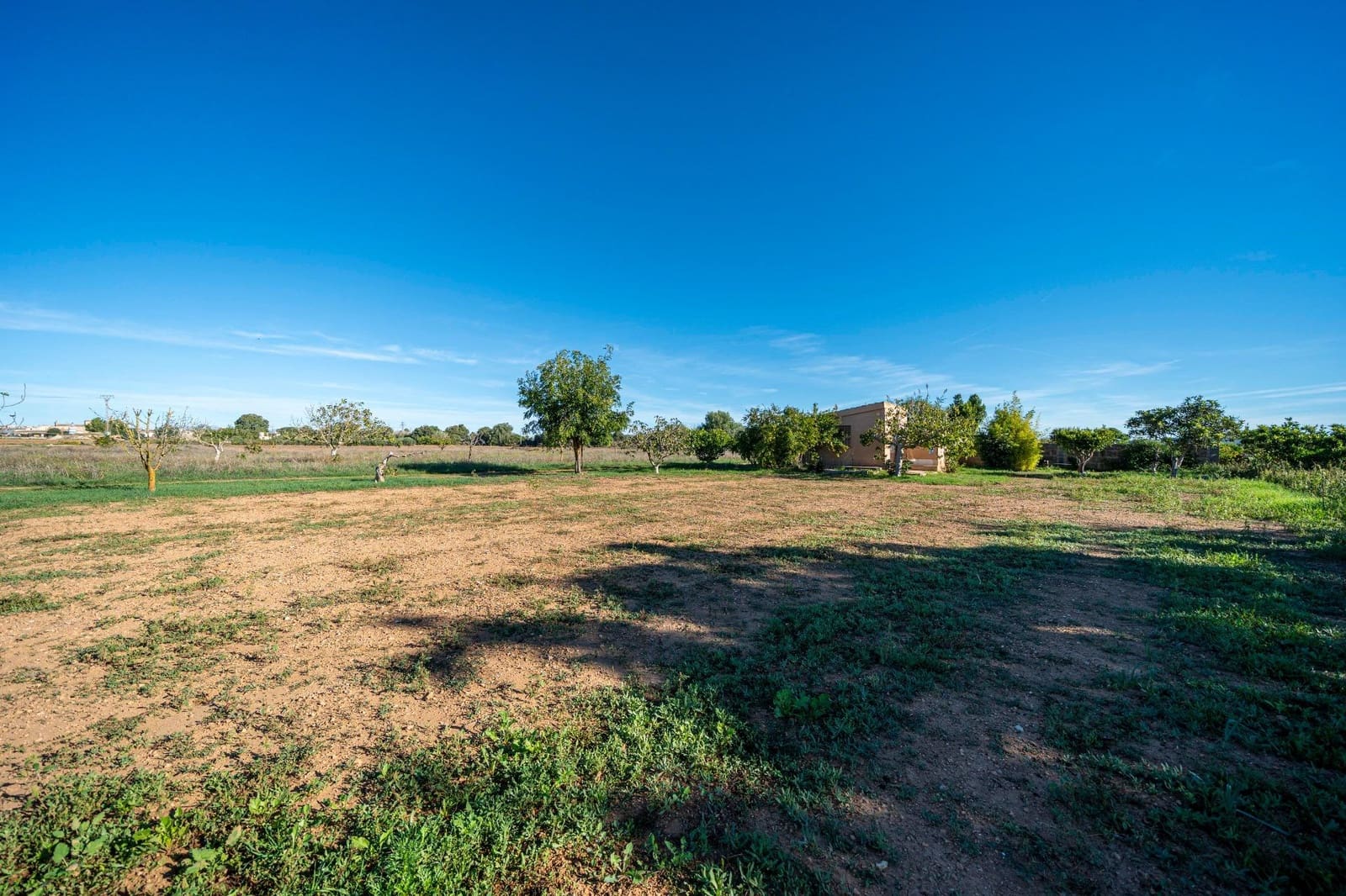 Finca/Casa Rural de 1 habitación en Porreres en venta - 99.000 € (Ref: 10161637)