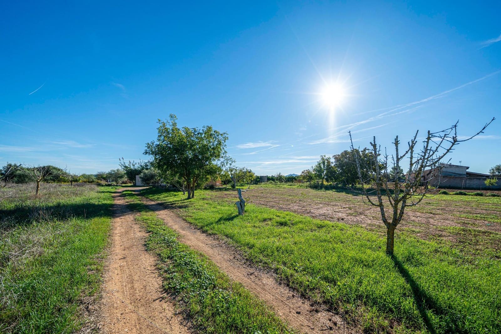 Finca/Casa Rural de 1 habitación en Porreres en venta - 99.000 € (Ref: 10161637)