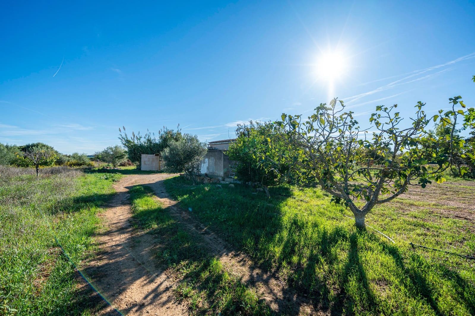Finca/Casa Rural de 1 habitación en Porreres en venta - 99.000 € (Ref: 10161637)