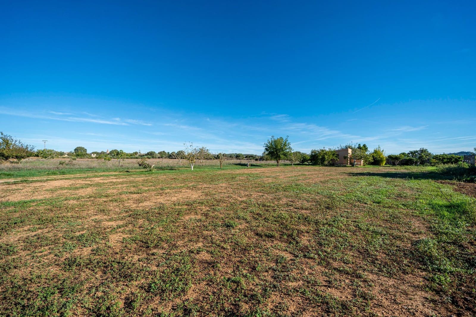 Finca/Casa Rural de 1 habitación en Porreres en venta - 99.000 € (Ref: 10161637)